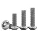 RJX 50pcs M2 4-20mm TA2 Button Head Titanium screws